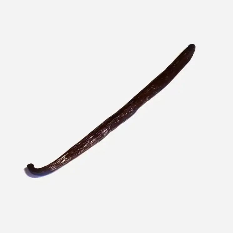 Bourbon Vanilleschote BIO